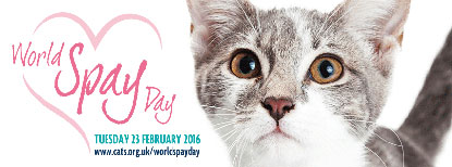 World Spay Day 2016