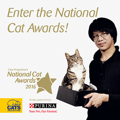 Enter the National Cat Awards 2016