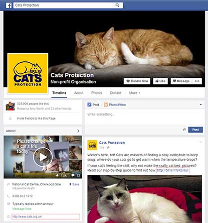 Cats Protection national Facebook page