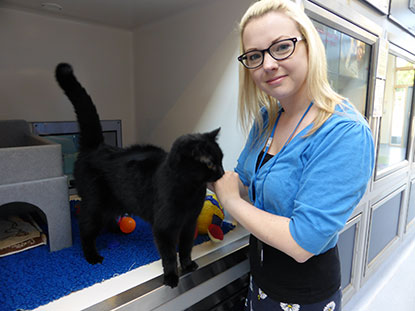 Gemma Smith, Social Media Manager at Cats Protection