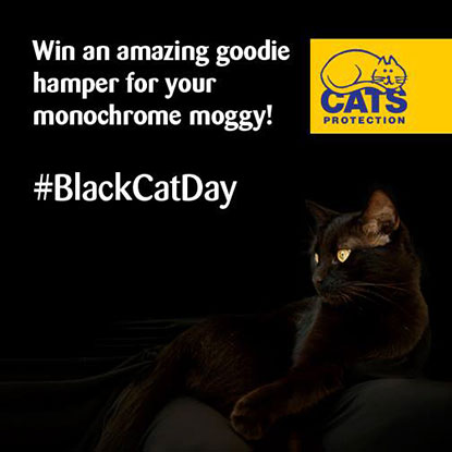 Win a prize for your monochrome moggy