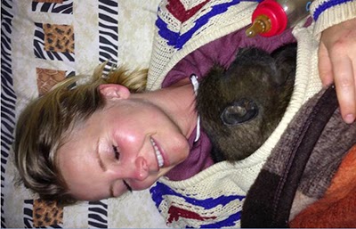 Carley Stenson caring for an orphaned monkey in Africa