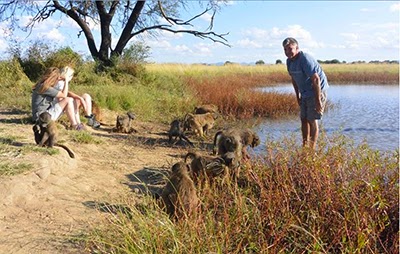 Animal conservation in Namibia 