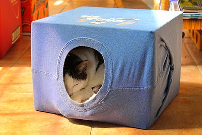 Cat enjoying their homemade tent