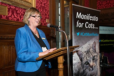 Heather McCann at the Manifesto for Cats launch
