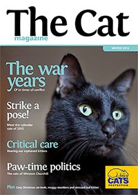 The Cat magazine