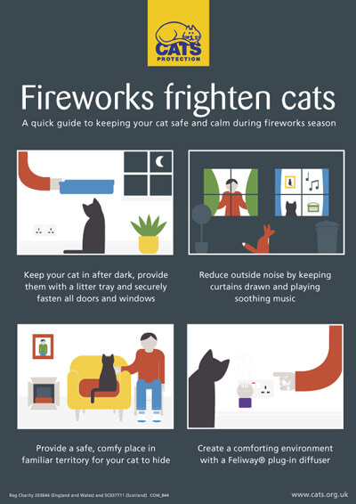 Fireworks frighten cats infographic
