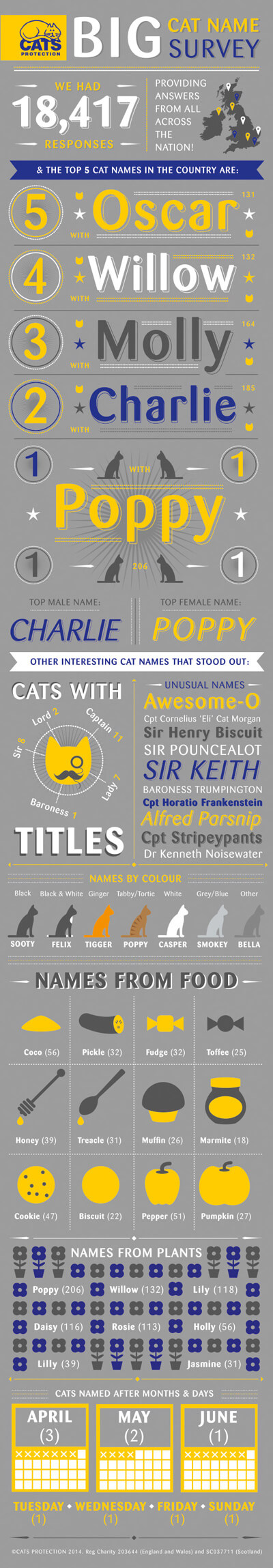 Cat name infographic