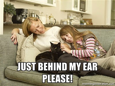 Scratch just behind my ear please!