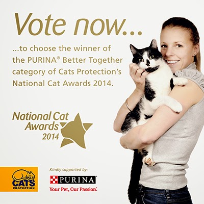 PURINA® Better Together category in our National Cat Awards 2014
