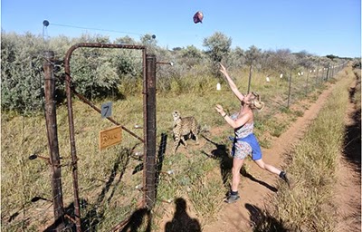 Carley Stenson feeding animals in a conservation project