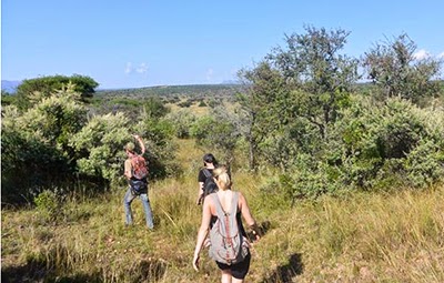 Carley Stenson volunteering in southern Africa